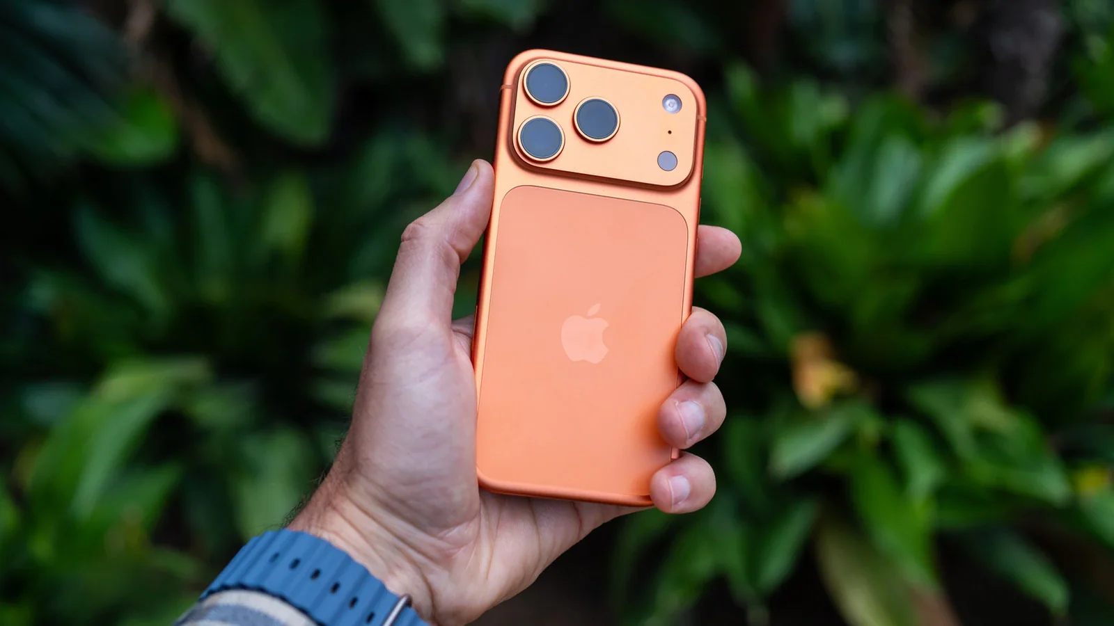 Live Text на iPhone умеет вытаскивать текст даже из остановленного видео