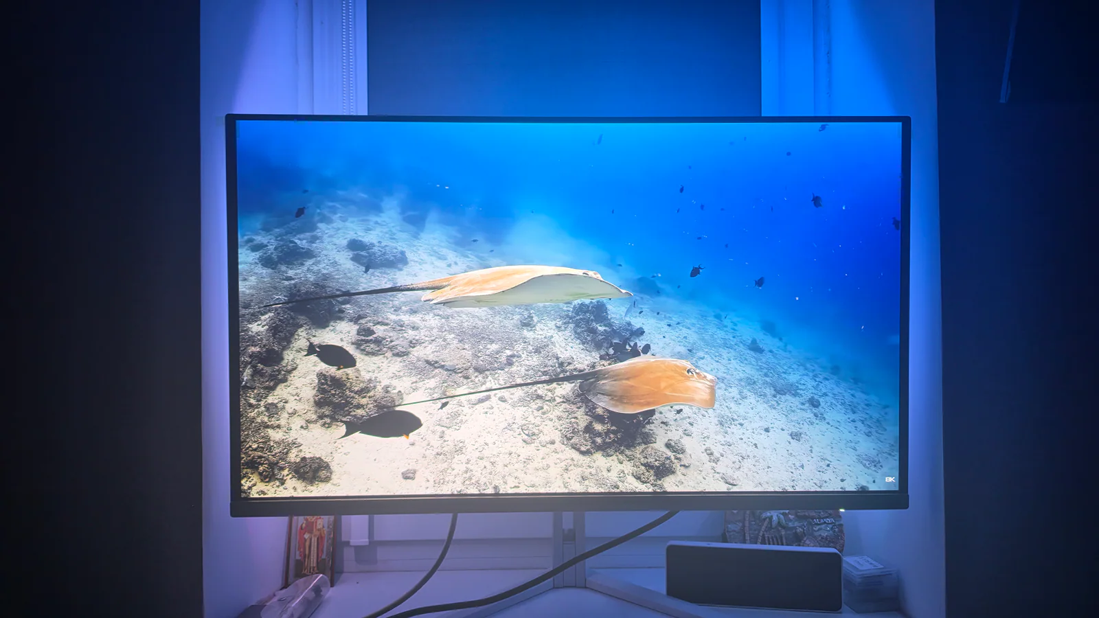 Обзор Philips Evnia 32M2N8800: зачем игровому монитору 4K, QD-OLED и 240 Гц одновременно