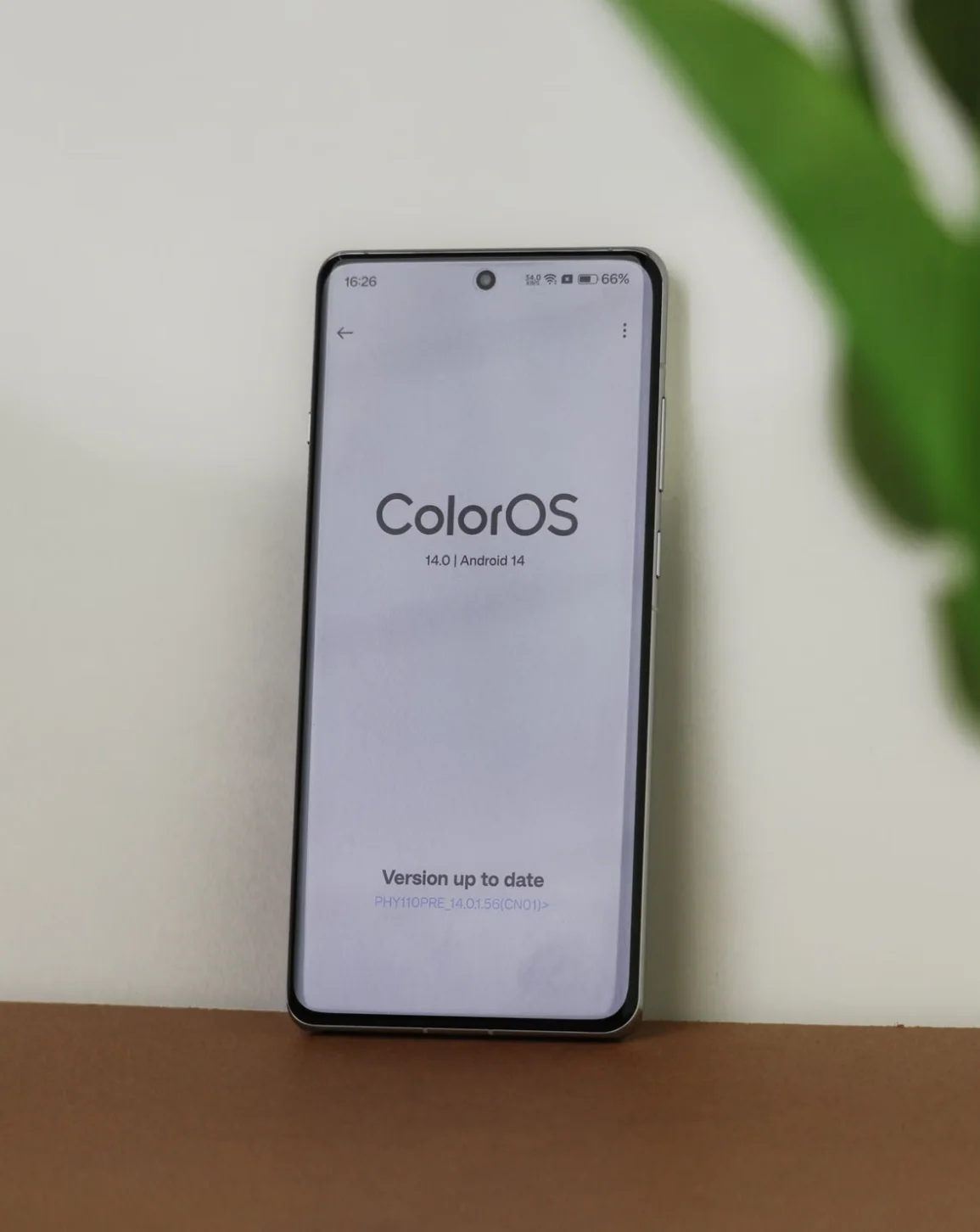 смартфон с Android 14 и открытым главным экраном ColorOS, хорошо видны значки установленных приложений